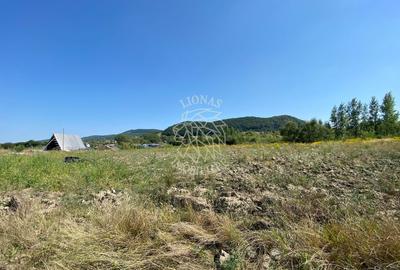 Teren 4100 mp - oportunitate investitie - Bistrita Zona Ranahum - 2