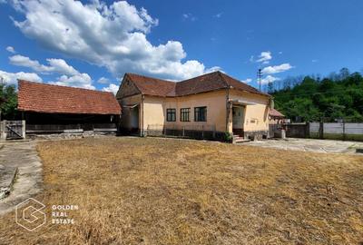 Casa  cu 3 corpuri de cladire, sat Lalasint - 2