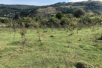 Teren Intravilan cuprins in PUG, 5100 mp, Tauti - 2