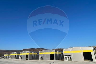 Hala industriala, de vanzare – 600 mp utili, 1400 mp teren Baciu - 7