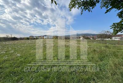 Teren intravilan | De vanzare | 5841 mp | 38 ml deschidere | Cetate - 3