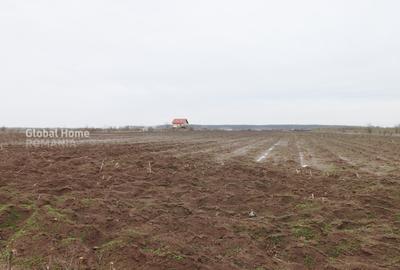 Teren 4000 mp lângă Pădurea Petrești | Investiție dezvoltare | Corbeanca - 4