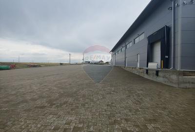 Depozit refrigerare de 292mp Dumbrăveni, Suceava - 6