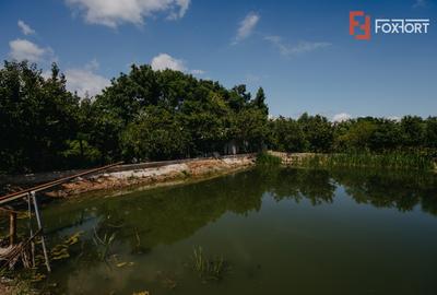 Casa individuala cu 8 camere si lac cu pesti, teren 4424 mp - Jebel - 31