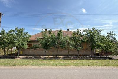 Casă 4 camere, Teren 1955 mp Str. Vezendiului Nr. 366 - Loc. Petrești, Satu Mare - 2