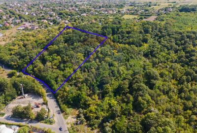 Investiție Unică: Teren de Vânzare 11.330mp pe Lacul Aroneanu - Iași - 4