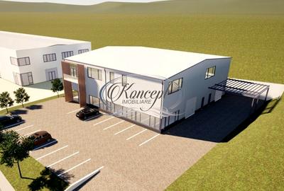 Teren industrial cu autorizatie hala, Valea Chintaului - 1