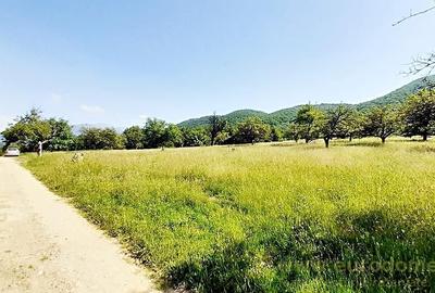 Teren superb in Bran la 5 min de Castel, 37 euro/mp. - 4