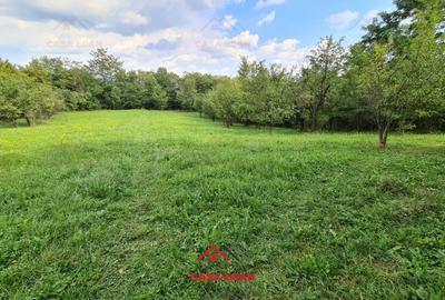 ●Teren intravilan in Poiana Campina,zona retrasa,3287 mp,10e● - 9