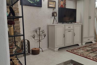Centru - apartament cu 2 camere mobilat și utilat, demisol - 4