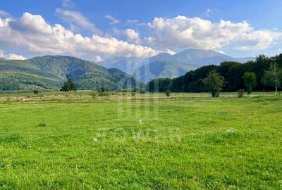 Teren intravilan de vânzare | Valea Avrigului-Porumbacu de Jos - 1