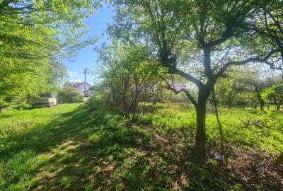 Teren de vanzare in Campina in zona retrasa - 12