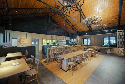 Hotel-Spa-Restaurant nou de Vânzare, 26 Camere, în Padiș, - 21