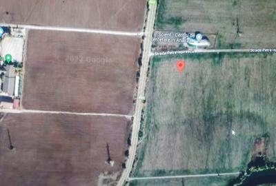 Tancabesti DN 1 si Equestria, vis-a-vis de Scient 3 loturi de teren - 4