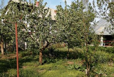 Casa 3 camere 100 mp | teren 937 mp | Vladeni central | mansarda |mobilat utilat - 13