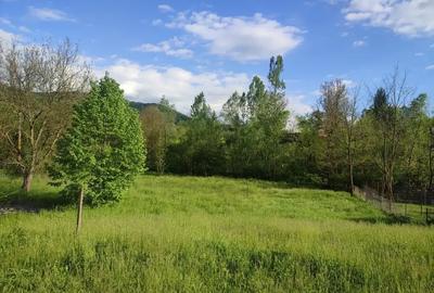 TEREN DE VANZARE IN ZONA DE DEAL  | SULTANU | VISINESTI - 3