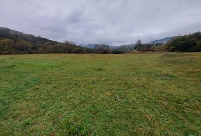 Teren intravilan si extravilan in Bucovina , Salatruc , Vama , Suceava