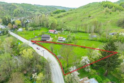 Teren intravilan 2221 mp Breaza / Strada Ocinei / Valea Tarsei - 3