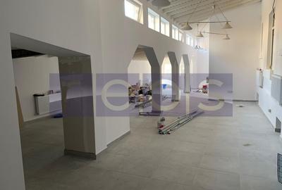 VANZARE - VILA 9 CAMERE  - Vasile Lascar, Mihai Eminescu, Bd. Dacia - 25