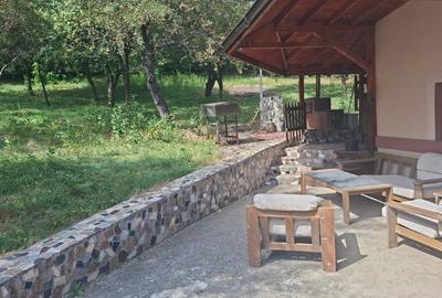 Proprietar vila Câmpulung Muscel str Dracesti 34 colt str Plaiesi - 9