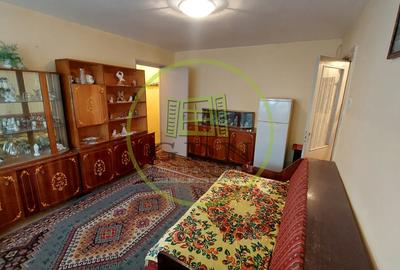 Apartament cu 2 camere semidecomandat, mobilat în Craiovița Nouă