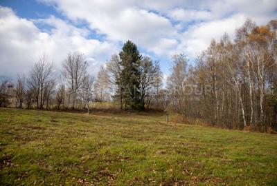 Teren intravilan, cu PUZ, Bran Tohanita,  SE ACCEPTĂ ȘI SCHIMB - 3