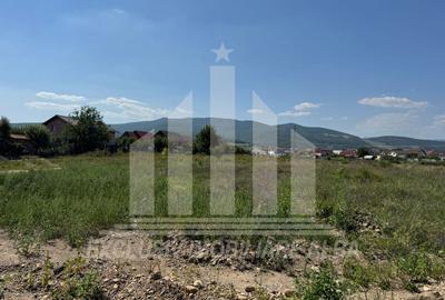 Teren intravilan | 3250 mp | 19.7 ml deschidere | Alba-Micesti - 3