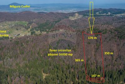 Teren intravilan de 56000 mp, în Poiana Brașov