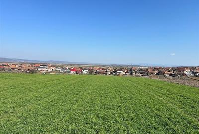 RECO Teren extravilan in Cheriu, Bihor - 1