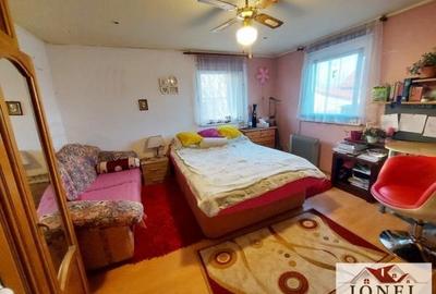 Vanzare casa Alba Iulia - Cetate -700 mp teren - 5