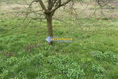 Teren intravilan cu utilitati in cartierul Cetate 946 mp Alba Iulia - 3