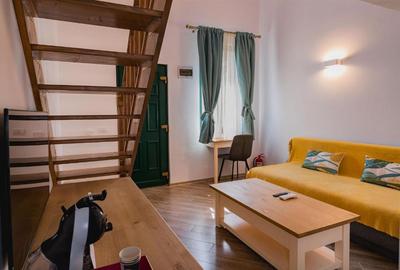 Pensiune Premium – Afacere La Cheie Zona Iulius Town / Calea Lipovei - 1