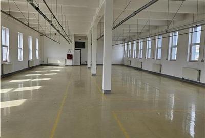 Spatiu Industrial - 3500 mp - Productie - Depozitare - Office - 36