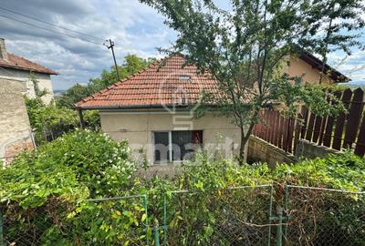 Casa si teren 975 mp Dambul Rotund - 2