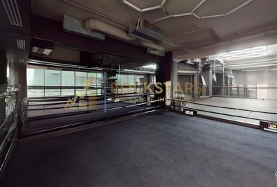 Spatiu birouri | Sala sport | Nicolae Caramfil - 49