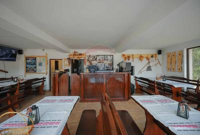 Oportunitate de investiție, Restaurantul Piatra Grăitoare,Vârtop,Bihor - 29