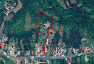 Moșia cu casa în vârf de deal, Scorțeni - Prahova, comision 0% - 5