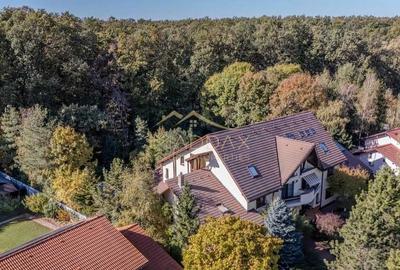 Vila spectaculoasa Corbeanca *padure proprie si piscina - 1