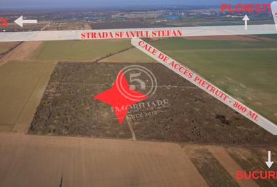 Ocazie- Teren Intravilan de Vanzare- Peris Snagov- Doar 10 euro/mp - 4