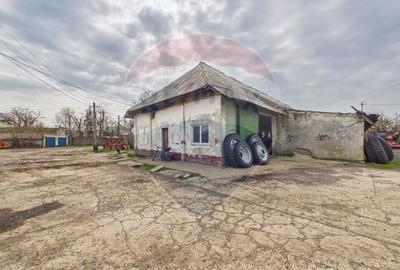 Spațiu industrial de vanzare 7950mp Lehliu Gara acces DN3+A2 - 12