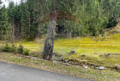 Arieșeni–Strada Fața Cristesei -Teren 4.331 mp cu Peisaj de Poveste - 7