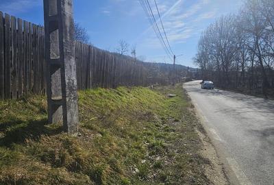 Teren 690 mp, deschidere 50 m, utilități – 1 km Primăria Ștefănești - 7