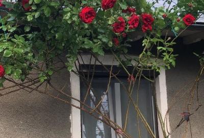 🏡 PROPRIETAR - Vand casă 3 camere în oraș cu grădină mare… la preț de apartamen - 9