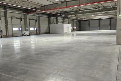 Spatiu Industrial - 900 mp - Productie - Depozitare - Distributie - 16