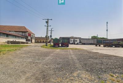 Complex industrial cu hale și teren  în Orțișoara - 24
