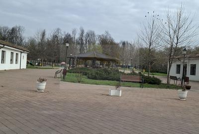 Spre Vanzare- Vila-1 Decembrie, Ilfov, cartier rezidential. - 6