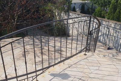 Techirghiol-vila deosebita D+P+1+M - 30