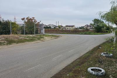 Domnești- Str.Fortului, 742mp, gaze, lumină - 4