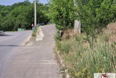 Casa de vanzare in Paclisa - Alba Iulia - 4