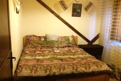 Cabana 4 camere-teren 350 mp-foisor amenajat 25 mp- Baile Figa - 4